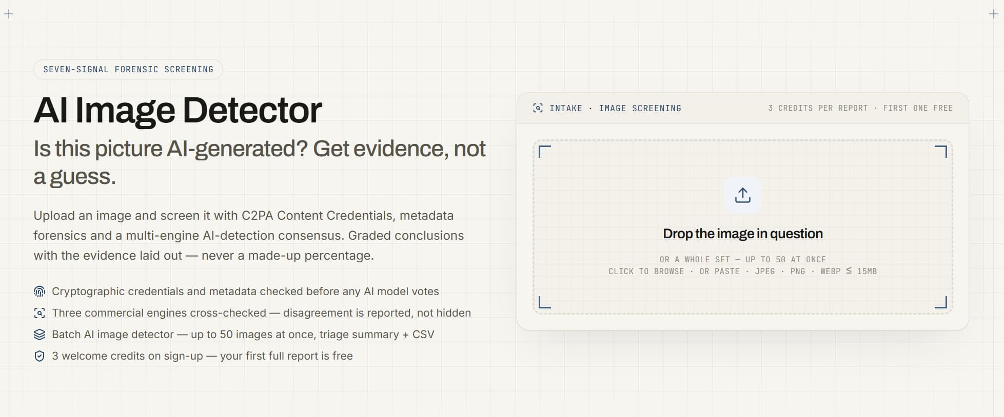 AI Image Detector screenshot 1
