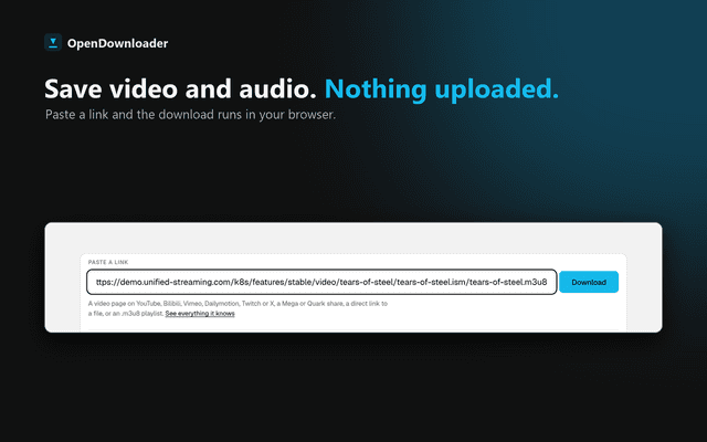 OpenDownloader screenshot 1