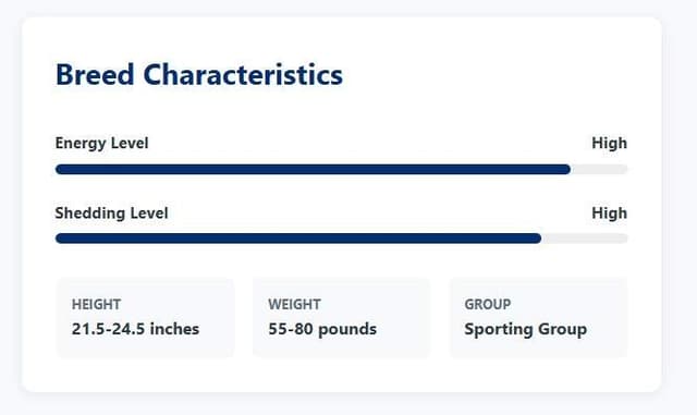 BreedMetrics.com screenshot 2