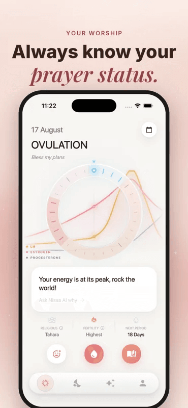 Nisaa screenshot 2