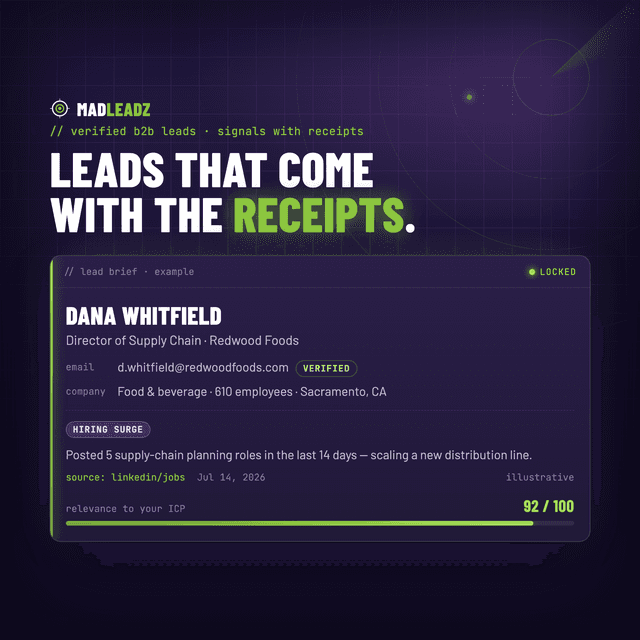 MadLeadz screenshot 1