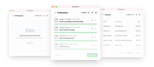 AI Renamer screenshot 2