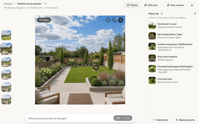 Yard Studio screenshot 2