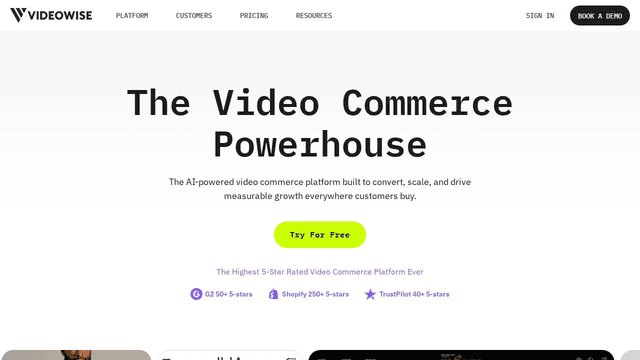 Videowise screenshot 1