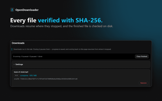 OpenDownloader screenshot 3