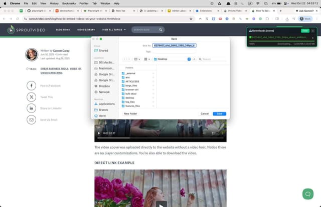 Sprout Video Downloader screenshot 2