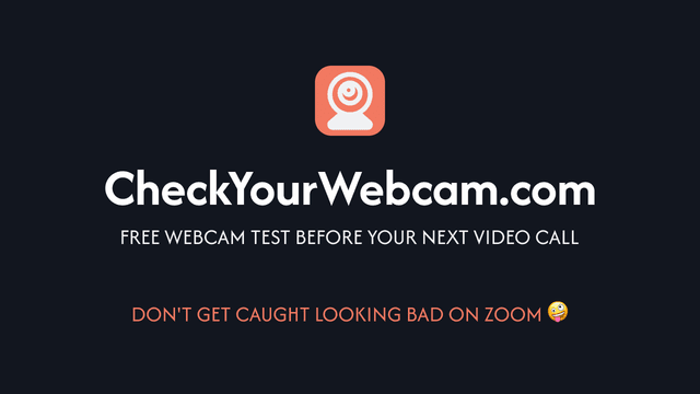 checkyourwebcam screenshot 1