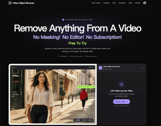 Video Object Remover screenshot 1