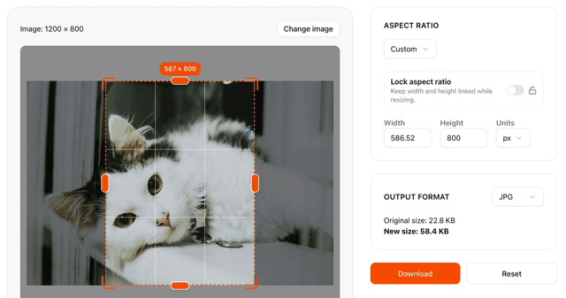 Image Resizer - Free Online Photo Resizer | ResizeImage.dev screenshot 4