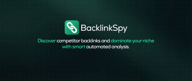 SEO tool that auto-detects competitor niches screenshot 1