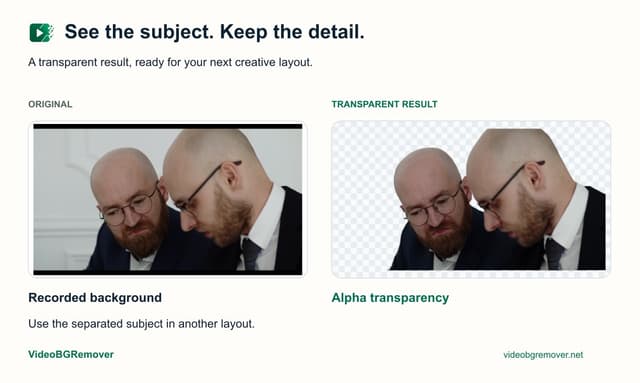 VideoBGRemover screenshot 1