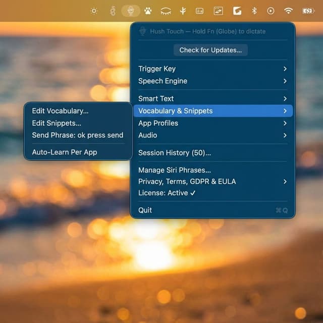 Hush Touch | Voice-to-Text for MacOS screenshot 2