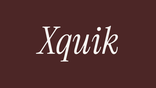 Xquik screenshot 1