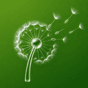 Seedream 5.0 Pro Image Generator
