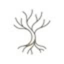 Roots - Calm Mind Wisdom