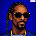 SnoopSolve