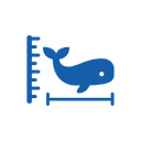 Size It Up Wiki