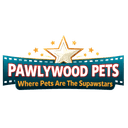 Pet Portraits | Pawlywood Pets