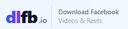 DLFB Video Downloader
