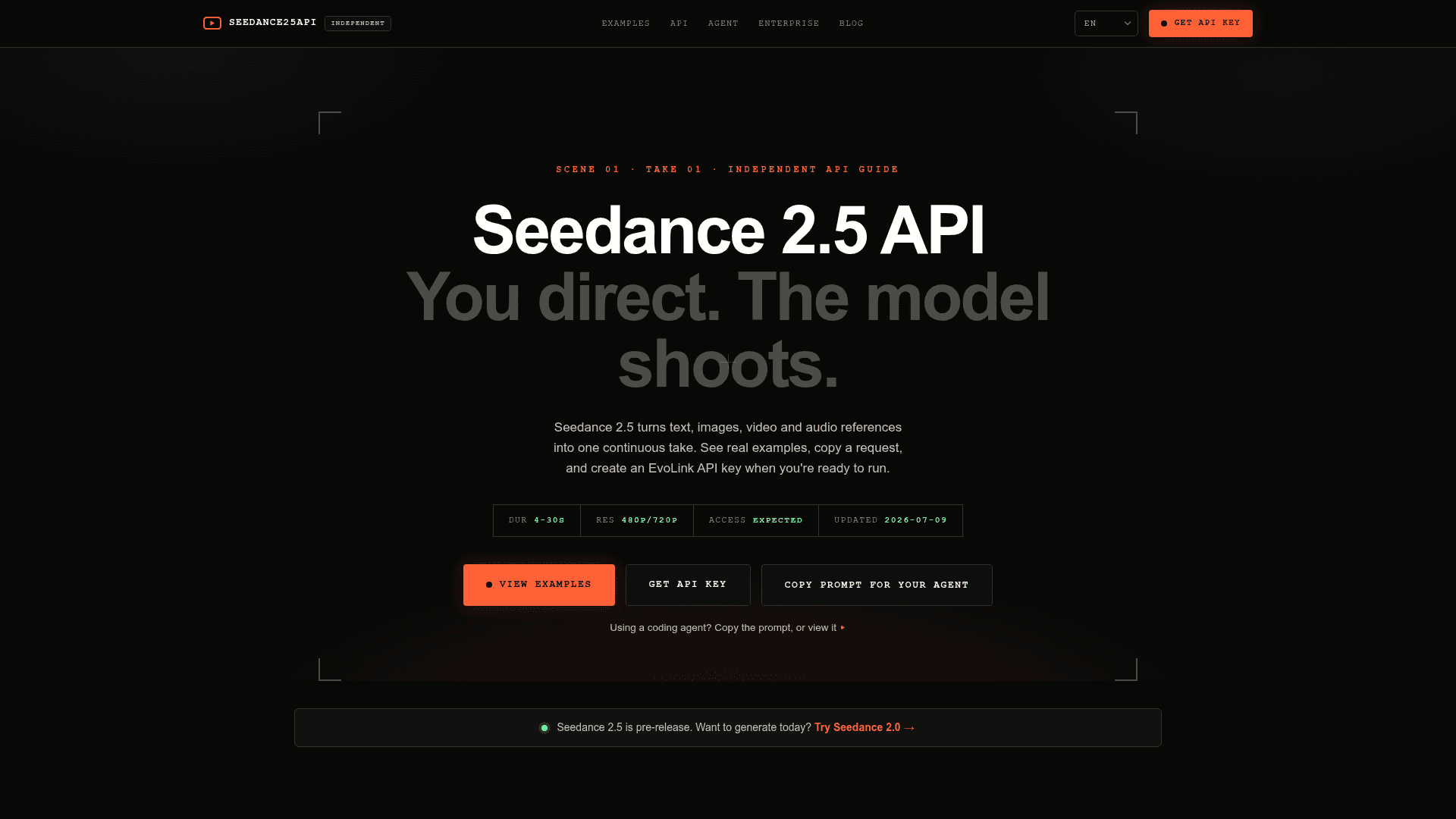Seedance 2.5 API screenshot 1