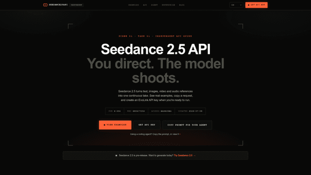 Seedance 2.5 API screenshot 1