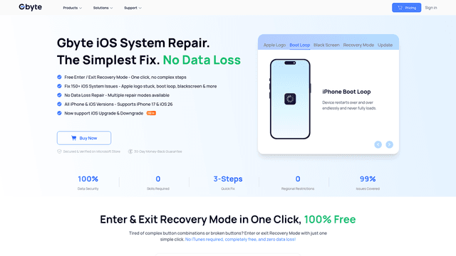 Gbyte Repair screenshot 1