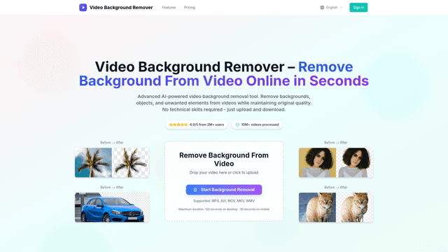 Video Background Remover screenshot 1