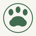 AION 2 Pets