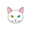 Appkittie